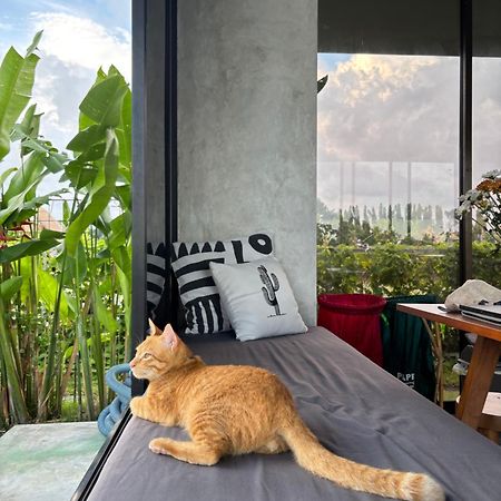 Casa Avana Ubud  Luaran gambar