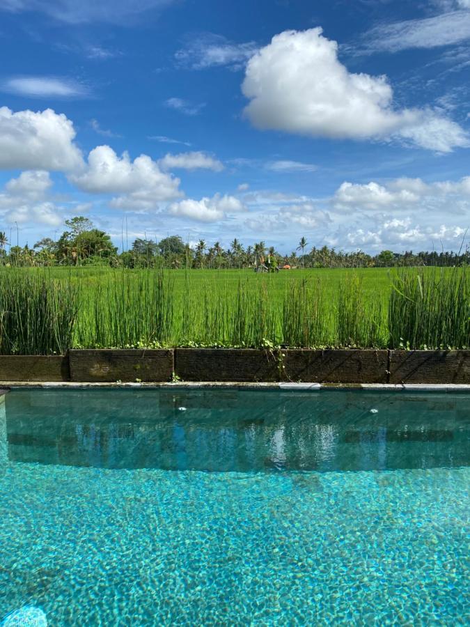 Casa Avana Ubud  Luaran gambar