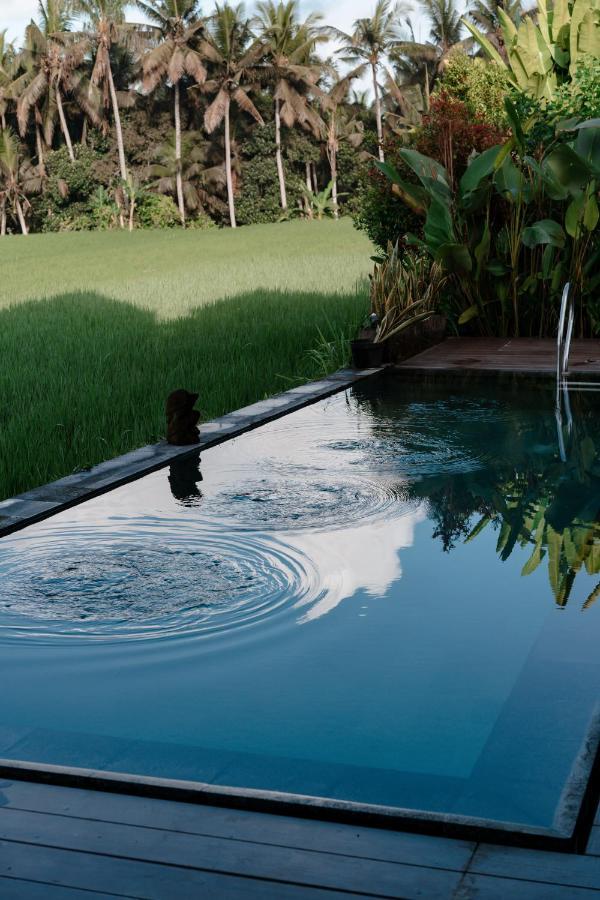 Casa Avana Ubud  Luaran gambar