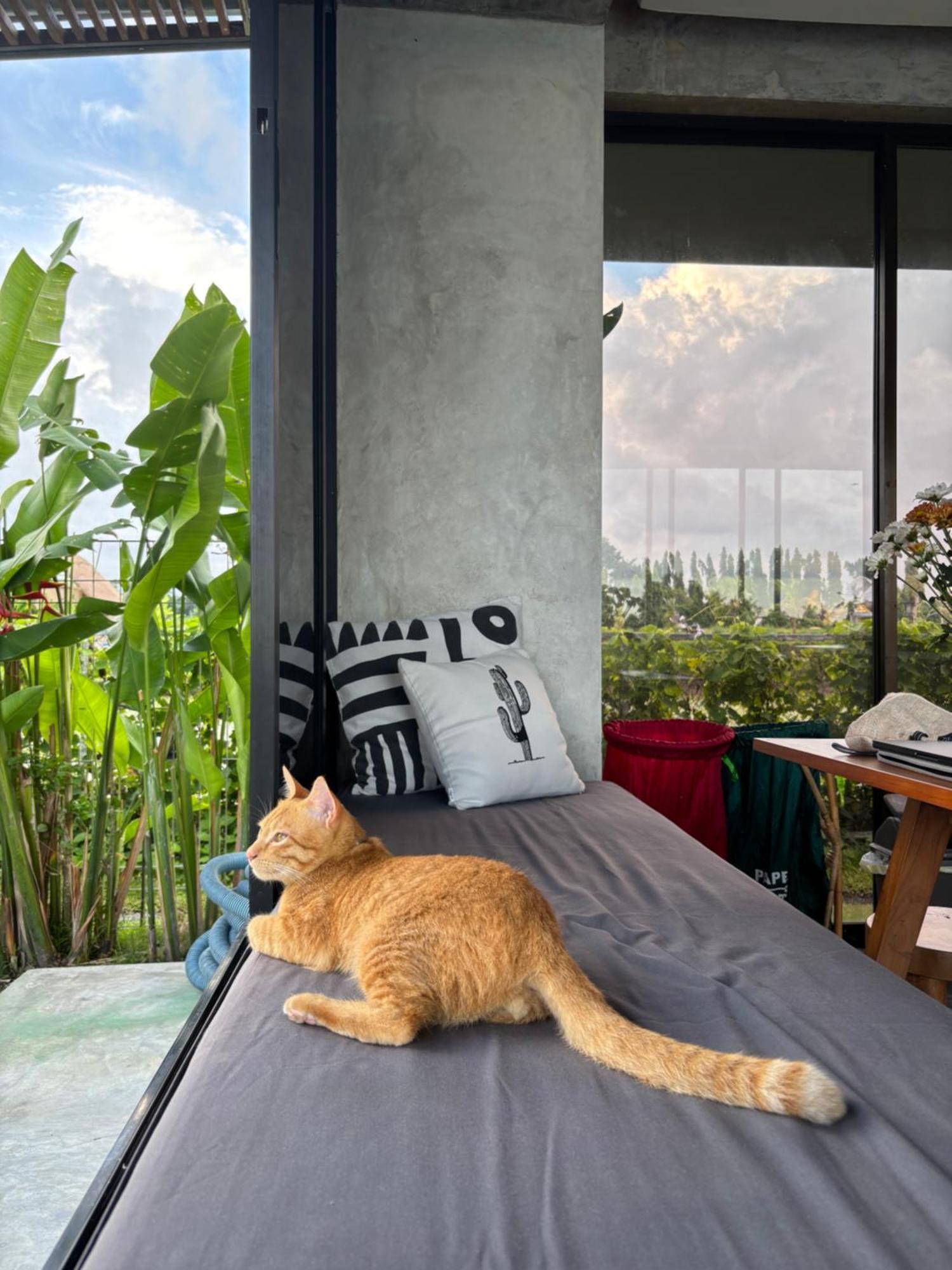 Casa Avana Ubud  Luaran gambar
